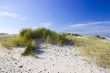 Kum tepeleri, Renesse, Zeeland, Hollanda