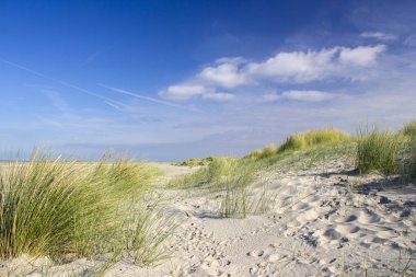 the dunes, Renesse, Zeeland, the Netherlands clipart