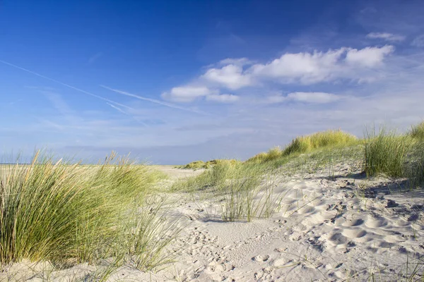 Kum tepeleri, Renesse, Zeeland, Hollanda