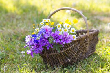 kır çiçekleri alan üzerinde ahşap sepeti