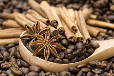 kahve çekirdekleri, tarçın ve tahta kaşık içinde anason