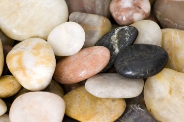 taşlar ve tam kare içinde kabuklar