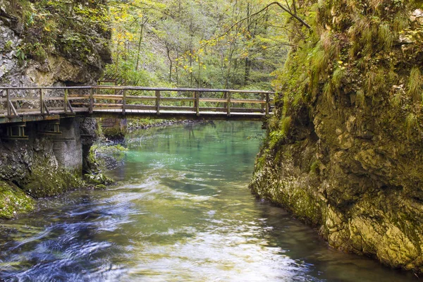 Vista Panorámica Garganta Vintgar Eslovenia —  Fotos de Stock