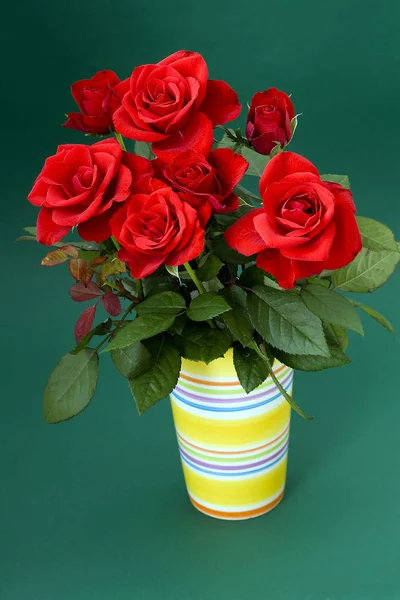Rosas Rojas Sobre Fondo Verde — Foto de Stock