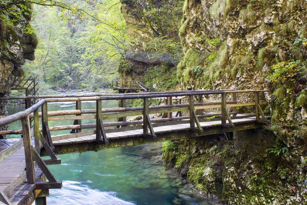 斯洛文尼亚维茨加峡谷的美景 — 图库照片