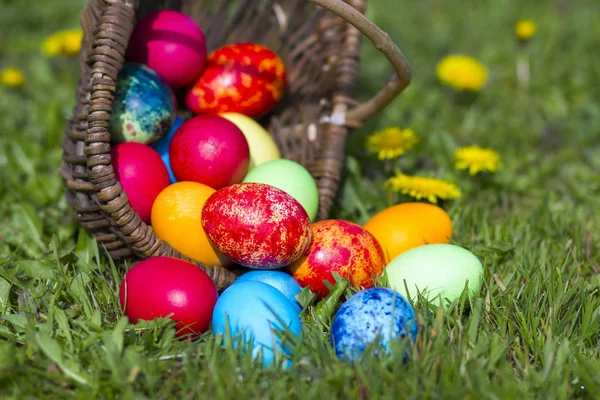 Feliz Páscoa Ovos Coloridos Uma Cesta — Fotografia de Stock