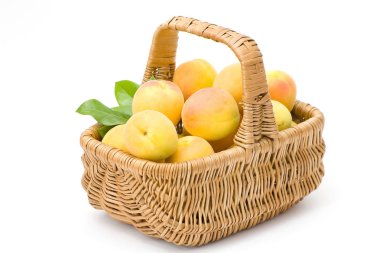 sepet beyaz arka plan üzerinde izole kayısı dolu