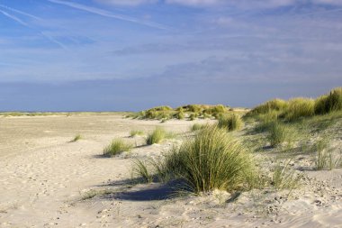 dunes, Renesse, Zeeland, Hollanda'nın doğal görünümü