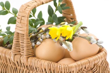 Beyaz arka plan üzerinde izole renkli Paskalya yumurtaları Close-up