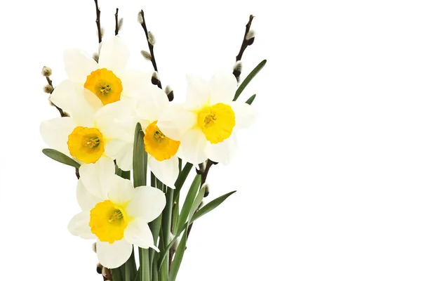 Bouquet Narcisse Isolé Sur Fond Blanc — Photo