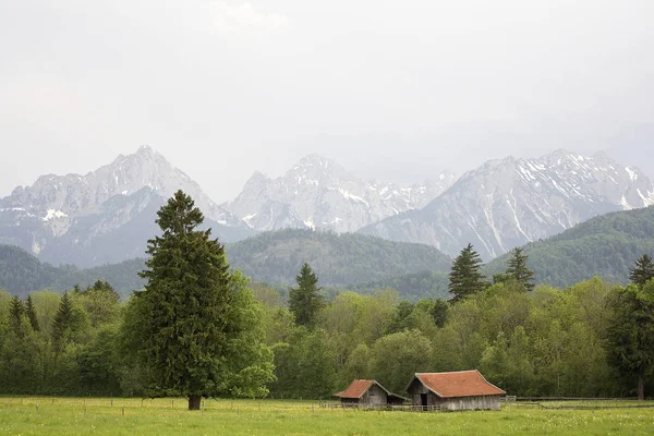 Szép Panoráma Alpok Németország — Stock Fotó