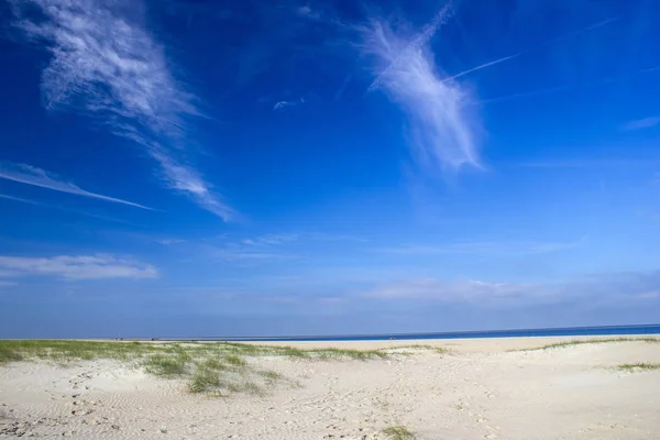 レネッセ周辺地域 オランダのビーチの美しい景色 — ストック写真