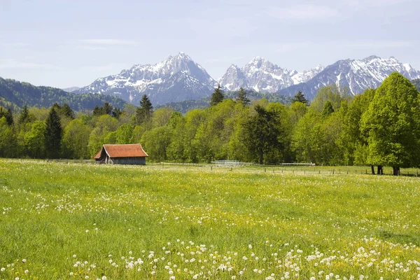 lovely panorama in alps in Germany