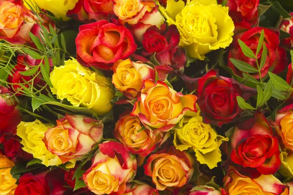 Ramo Rosas Multicolores Marco Completo — Foto de Stock