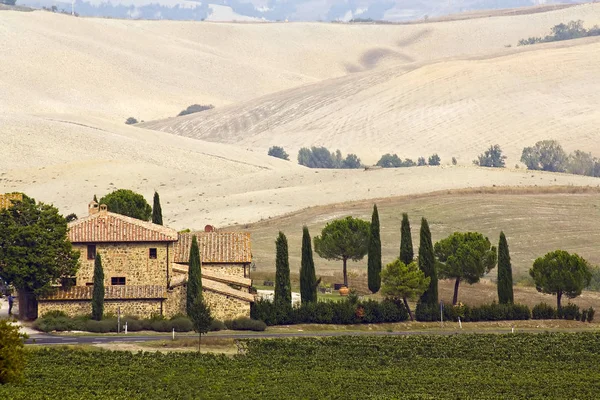 Typisch Toscaanse Landschap Selectieve Aandacht — Stockfoto