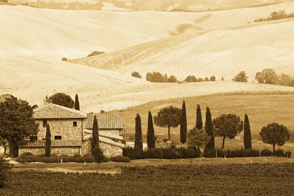 Типичный Тосканский Пейзаж Избирательная Направленность — стоковое фото