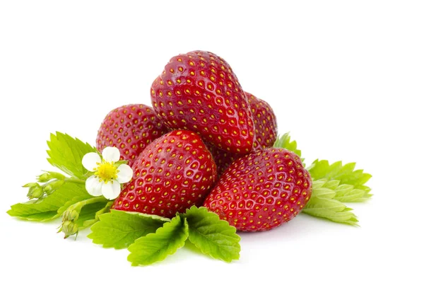 Frische Erdbeeren Isoliert Auf Weißem Hintergrund — Stockfoto