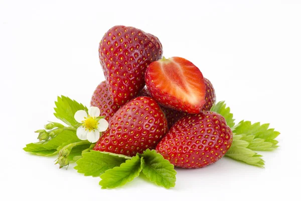 Verse Aardbeien Geïsoleerd Witte Achtergrond — Stockfoto