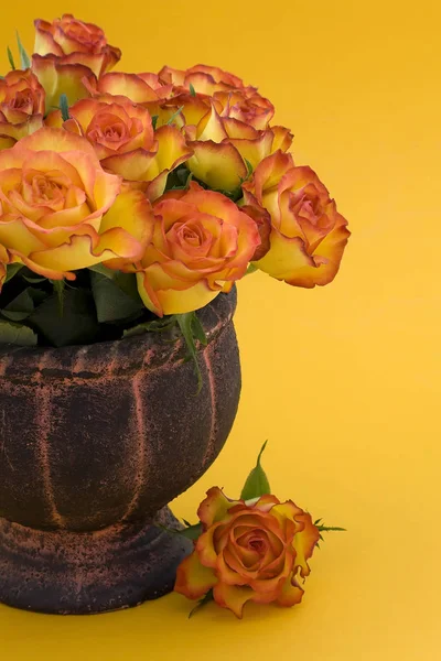 Tea roses in vase on yellow background