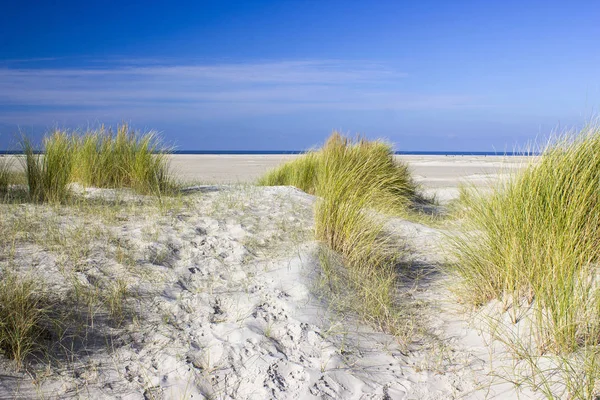ゼーラント州 オランダの海岸線の表示 — ストック写真