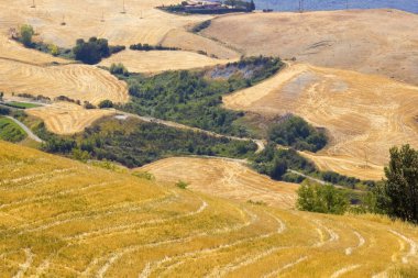 Yazın tipik Toskana manzarası, İtalya