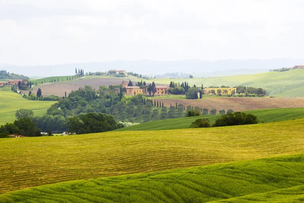 Verde Tipico Paesaggio Toscano Primavera — Foto Stock