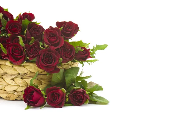 Red Roses Basket Isolated — Stock Photo, Image