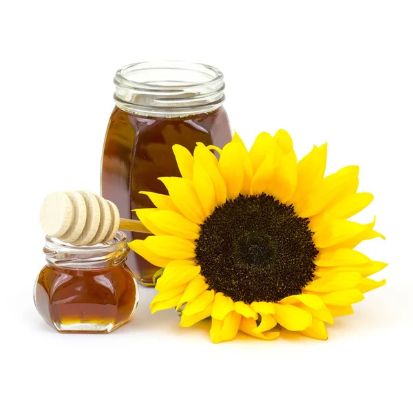 蜂蜜と白い背景のひまわり — ストック写真
