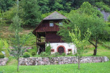 Almanya 'da Kara Orman