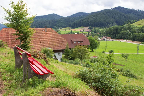 Černý Les Německu — Stock fotografie