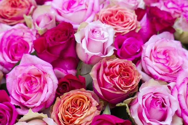 Rosa Rosas Textura Fondo — Foto de Stock