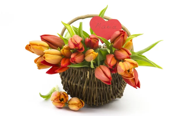 Tulips Heart Basket Mother Day — Stock Photo, Image