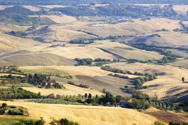 Yazın tipik Toskana manzarası, İtalya 