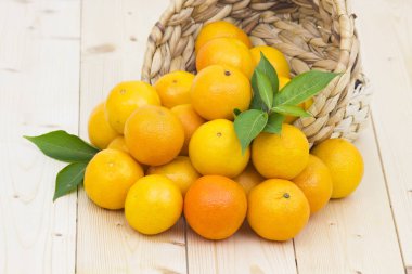 Masada taze mandalina var.