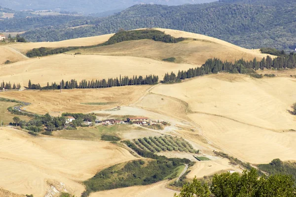 Vista Del Paisaje Típico Toscana Verano Italia —  Fotos de Stock