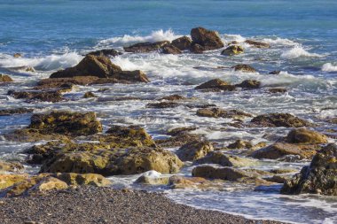 Almunecar, Endülüs, İspanya Beach'te taş