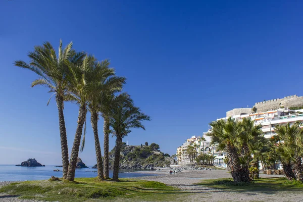 Palmeras Una Playa Almuñecar Andalucía Costa Del Sol España —  Fotos de Stock