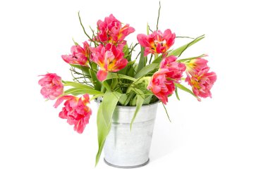 bir demet beyaz zemin üzerine kırmızı lale