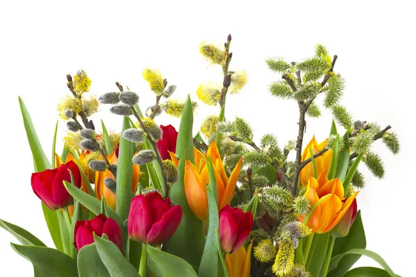 Tulpen Und Weiden Ostern Auf Weißem Hintergrund — Stockfoto