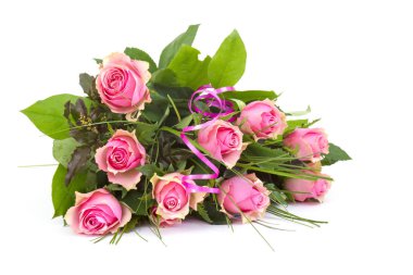 Beyaz arkaplanda pembe güller