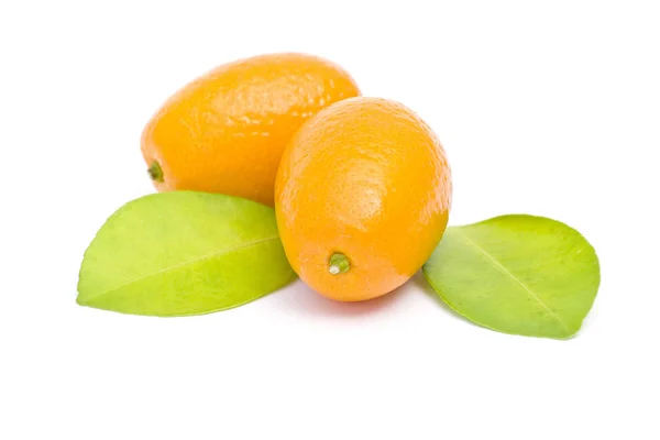 Kumquaty Izolovaných Bílém Pozadí — Stock fotografie