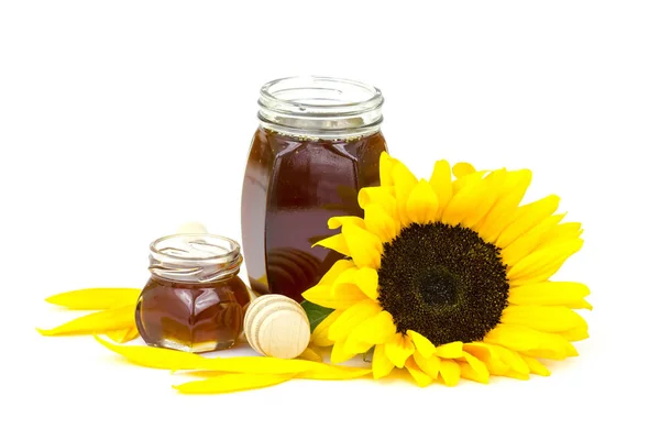 Honing Zonnebloemen Witte Achtergrond — Stockfoto