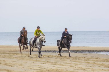RENESSE - OKTOBER 21 2018: Hollanda, Zeeland, Renesse sahilinde bilinmeyen biniciler