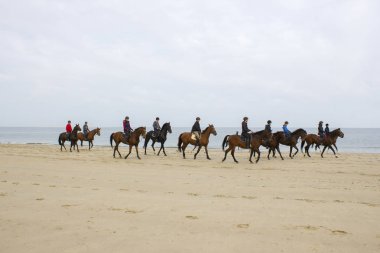 RENESSE - OKTOBER 21 2018: Hollanda, Zeeland, Renesse sahilinde bilinmeyen biniciler