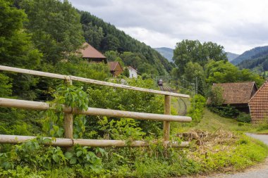 Almanya 'da Kara Orman