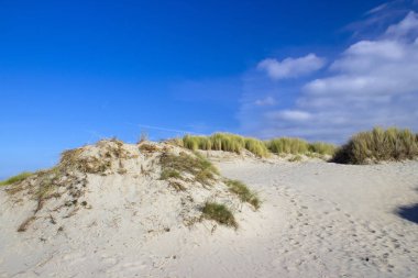 Kum tepeleri, Renesse, Zeeland, Hollanda