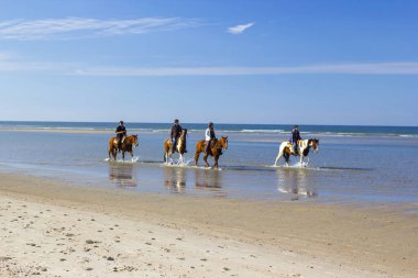 Renesse - Ekim 20 2018: bilinmeyen binici at sahilde Renesse, Zeeland, Hollanda
