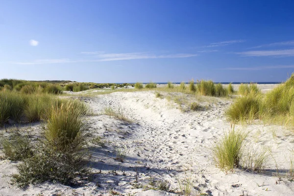Dune Renesse Zelanda Paesi Bassi — Foto Stock