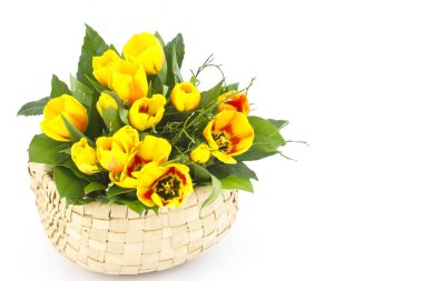 Beyaz zemin üzerinde bir sepet içinde güzel sarı laleler