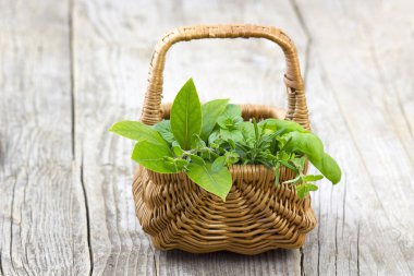Taze hasat edilmiş otlar ahşap arka planda bir sepet